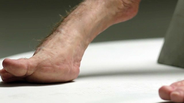 Hình nhân Graham sống sót trong tai nạn giao thông