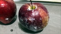 Cách nhận biết lớp sáp độc trên quả táo