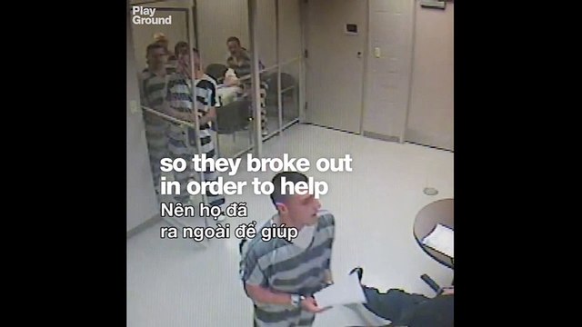 Hành động của nhóm tù nhân gây xôn xao cộng đồng mạng thế giới