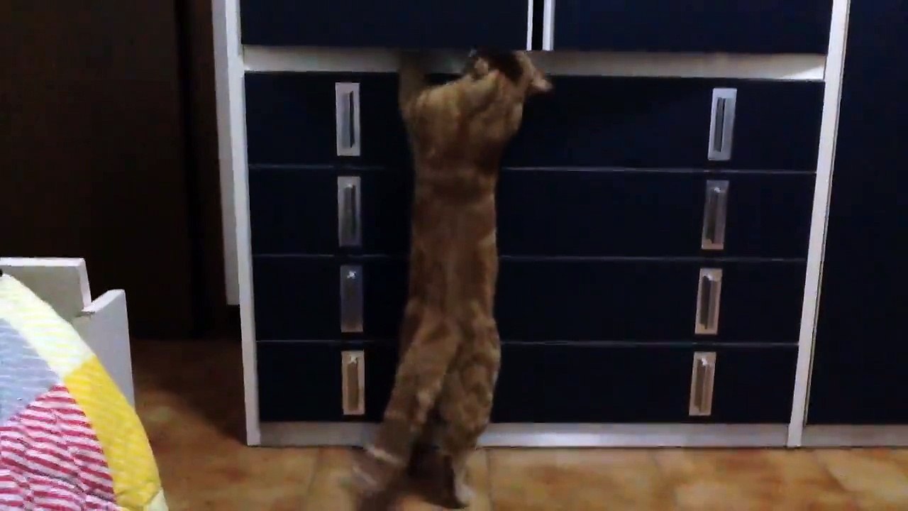 12042406_1074575882564328_1804123875_n