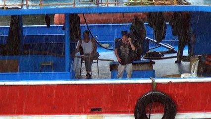 15 SENENİN EN BOL PALAMUT DÖNEMİ YAŞANIYOR