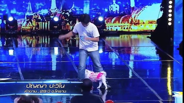 Những chú chó vừa mới xuất hiện đã khiến BGK Thailand's got talent phát cuồng
