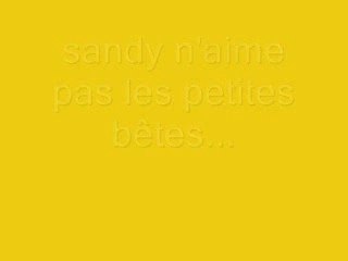 sandy et les petites bêtes !!!