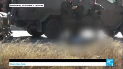 Israel: IDF shoots dead 16-year-old knife-wielding Palestinian assailant as violence surges