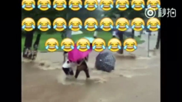 Kinh hoàng cảnh lũ tràn vào thành phố