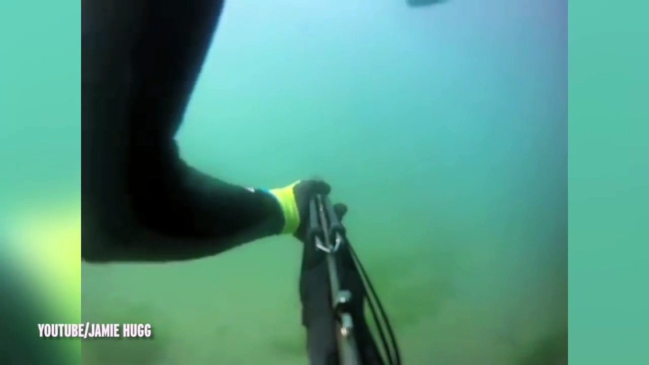 Watch This Guy Fight Off A Great White Shark With His Bare Hands