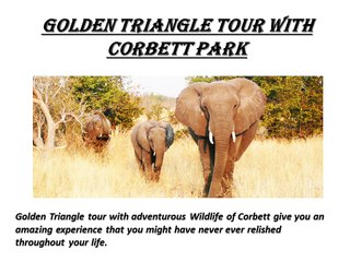 Golden Triangle Tours