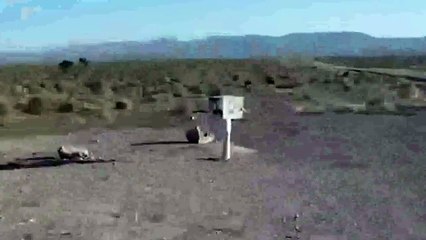 গহীন জঙ্গলে দেখা মিললো ভিন গ্রহের আজব প্রাণী!