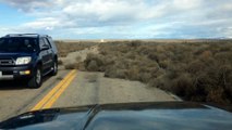 Des mauvaises herbes recouvrent une route dans le désert
