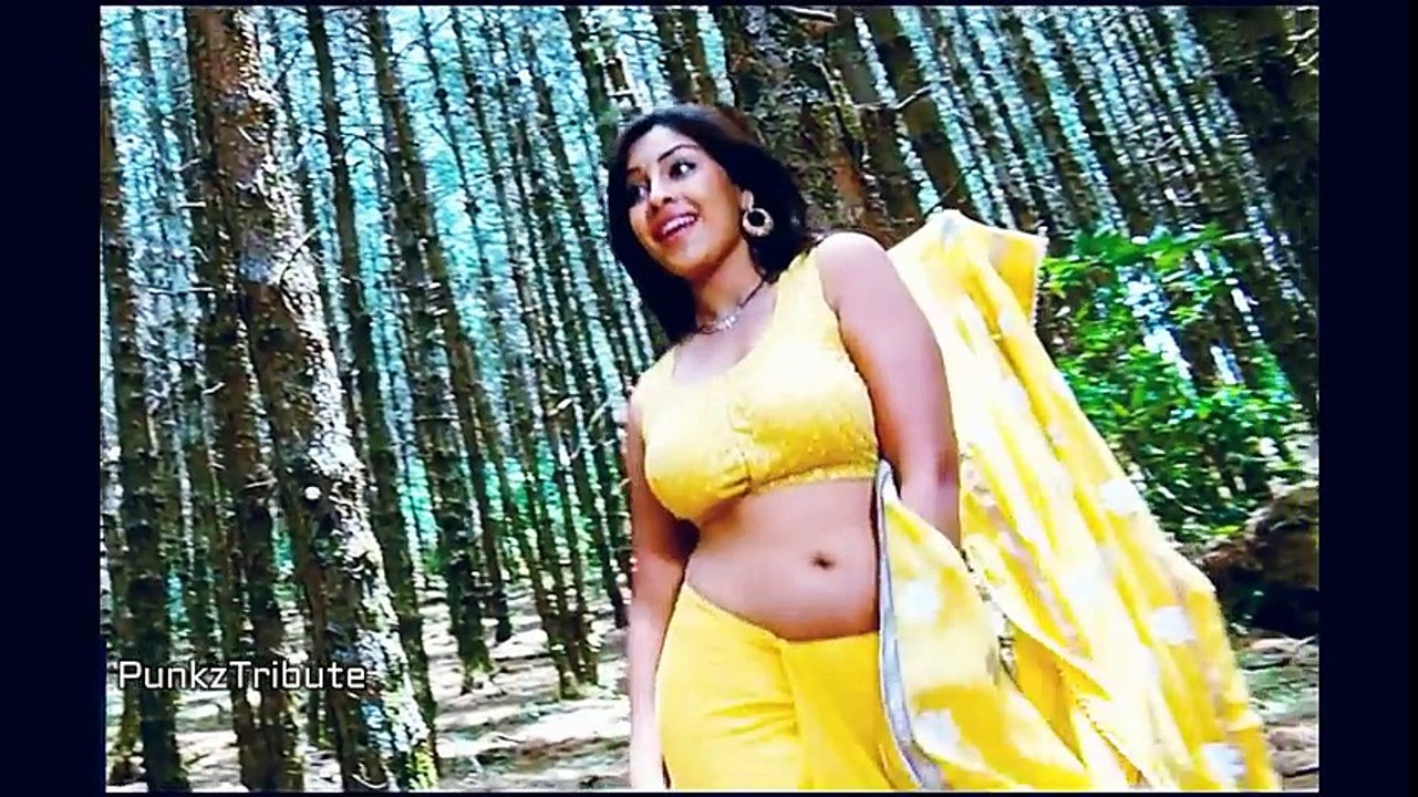 RIcha Govind Hot in saree