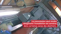 Trois propositions pour lutter contre la maltraitance animale dans les abattoirs