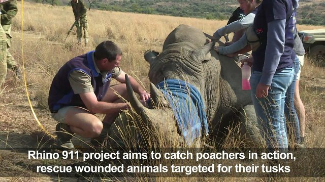 South African conservationists launch anti-poaching helicopter
