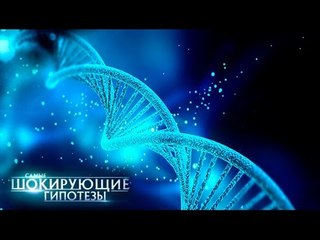 Самые шокирующие гипотезы. Свиньи тоже люди