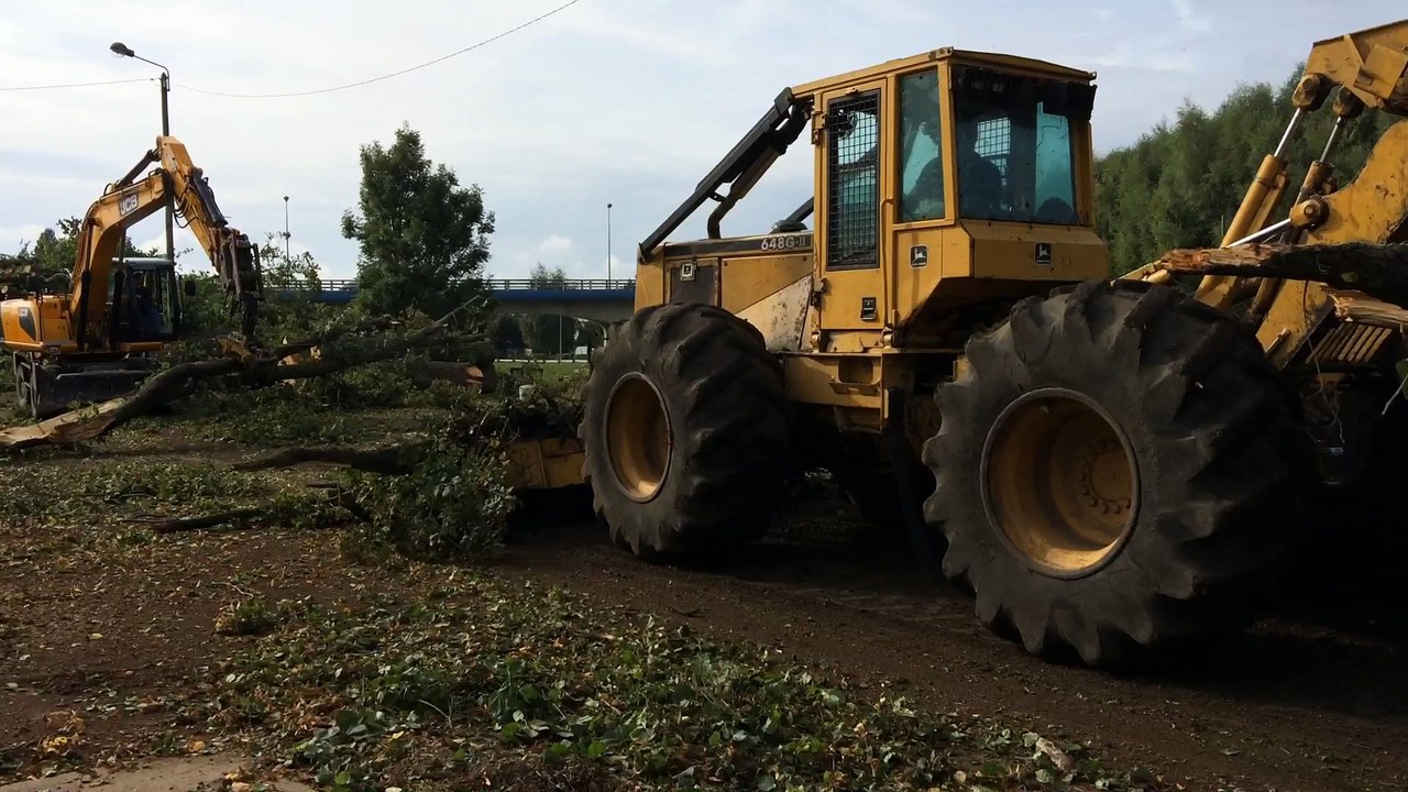 Abattage de tilleuls sur le chemin du halage de la Somme à Abbeville