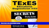 Big Deals  TExES Educational Diagnostician (153) Secrets Study Guide: TExES Test Review for the