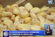 Alternativas para productores de maíz en web de Ministerio de Agricultura