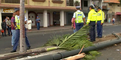 Un hombre se salva al irse encima de unas palmeras al suroeste de Guayaquil