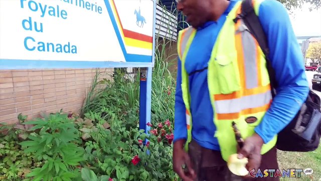 Du canabis pousse devant un commissariat au Canada ! Bravo la police