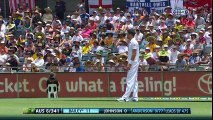 George Bailey smashes 28 runs On 6 Balls Cricket Videos Highlights