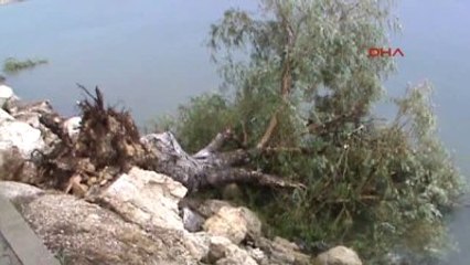 Isparta'da Şiddetli Rüzgar Ağaçları Devirdi