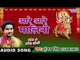 आरे आरे मालिन - Aare Aare Malin - Maiya Ji Ankh Kholi - Gunjan Singh - Bhojpuri Devi Geet 2016 new