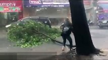Thanh niên lôi cây chắn giữa đường trong cơn mưa