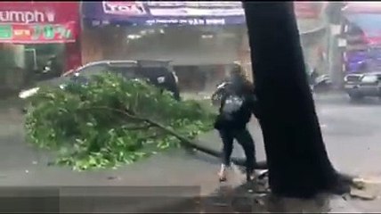 Thanh niên lôi cây chắn giữa đường trong cơn mưa