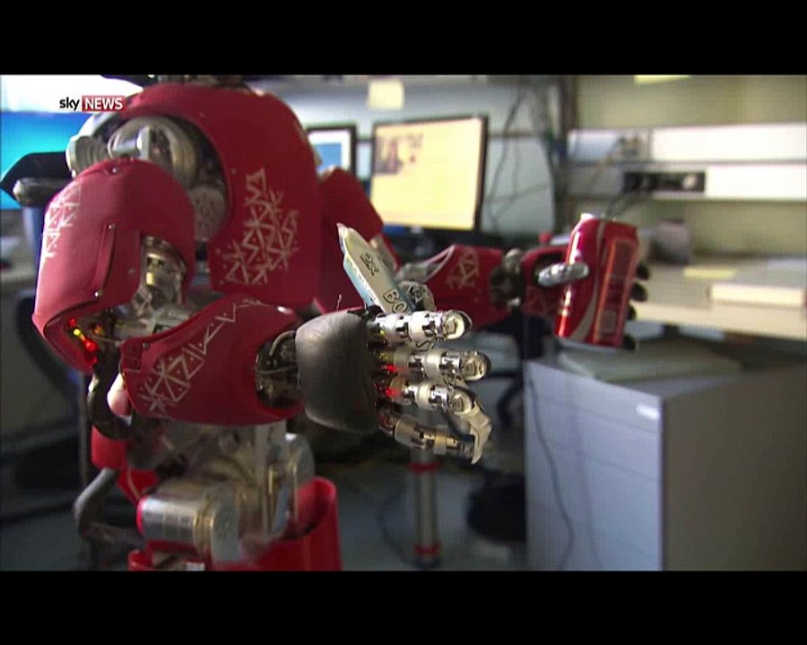The robot revolution