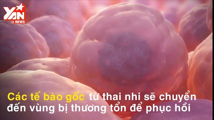 SỰ LIÊN KẾT KÌ DIỆU GIỮA MẸ VÀ EM BÉ