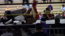 Mustang Mike vs. Wild Thing - Pro Wrestling EGO/Elev8 Pro Wrestling