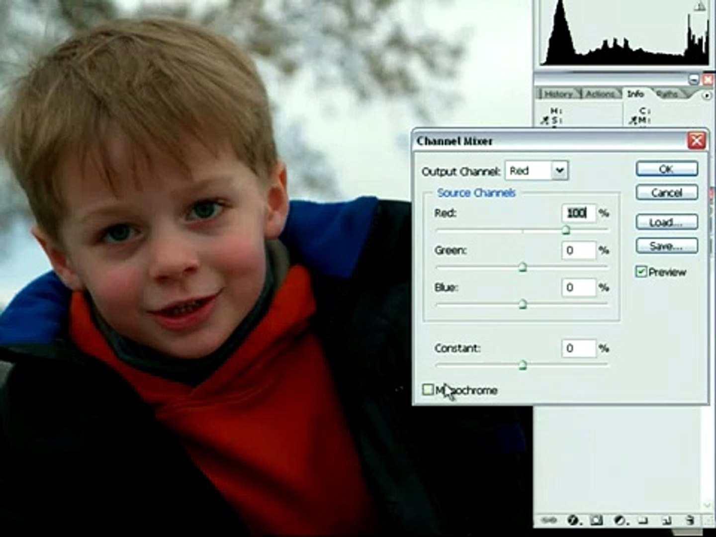 Adobe Photoshop CS2  Basic Color Correction  Using the Fade Command