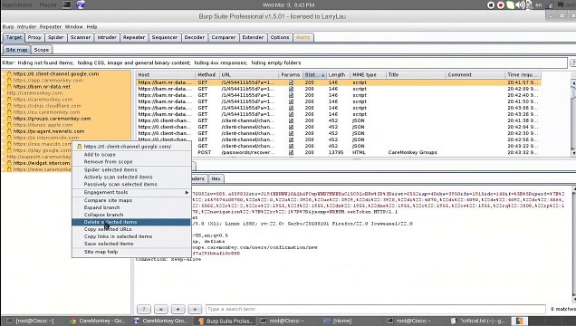 CareMonkey Bug Bounty Program 2016 - Reset Password Token Vulnerability