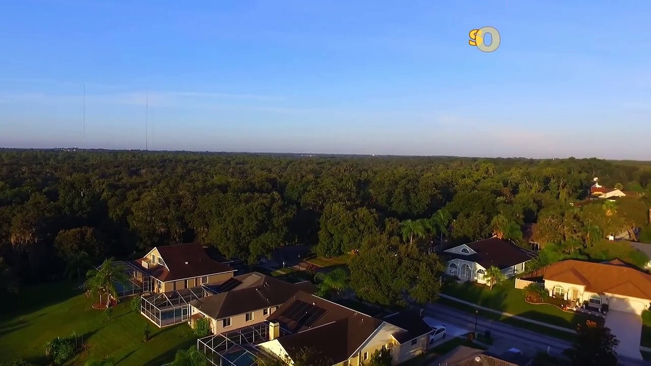 Phantom 3 Standard. First time flying.....and landing on my hand