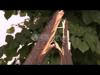 Ora News –  Rrebeshi në Tiranë - Disa zona pa energji, trafik dhe pemë të rrëzuara