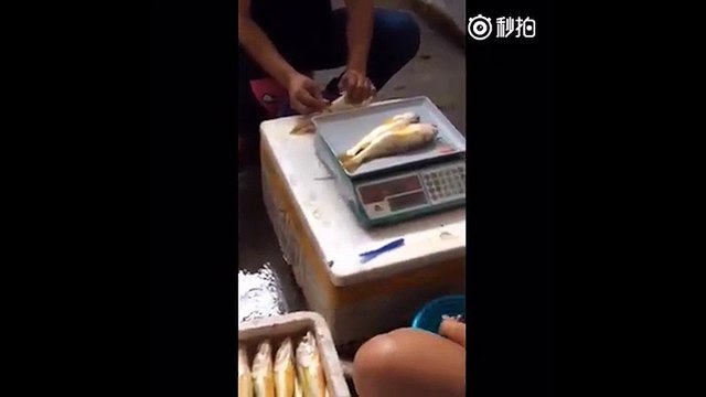 Sốc trước cảnh tiêm nước vào cá để tăng trọng