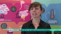Qualité de l'air : on respire bien en Loire-Atlantique