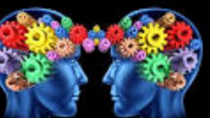 Điều gì khiến bộ não Einstein siêu việt hơn phần còn lại của nhân loại