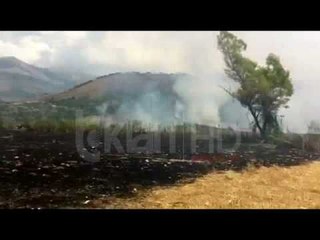 Video(2)/Zjarrvënie e qëllimshme në fushat e Delvinës, digjen 9 ha me ullinj