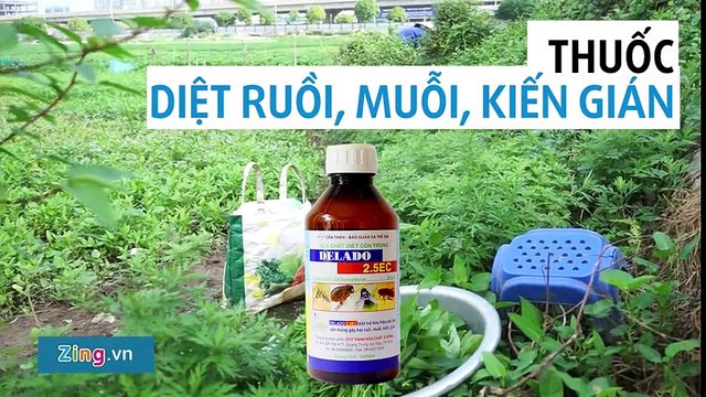 Tác hại của hóa chất tồn dư và cách chọn rau củ sạch, bạn biết chưa?