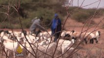 UN: 40 percent of Somalis without enough food