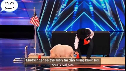 Chú lợn đáng yêu may mắn nhất được Heidi xin hôn