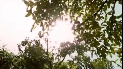 Phim ngắn "người bố mù của tôi" khiếu triệu người rơi lệ