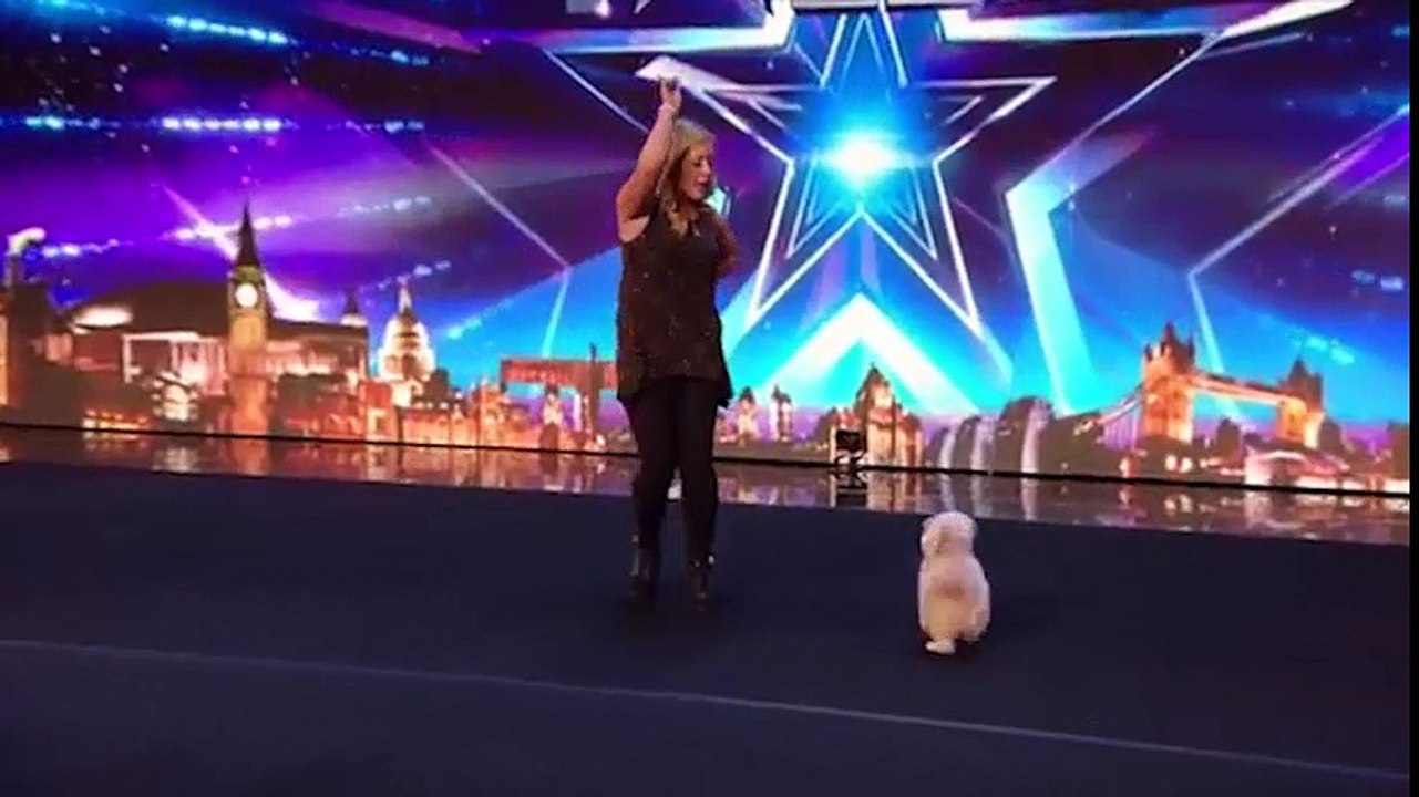 Chú chó thông minh đã trở thành ngôi sao "Britain’s Got Talent 2016" ngay trong tối qua