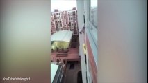 Người đàn ông liều mình leo ra ngoài cửa sổ cứu chú chó cưng