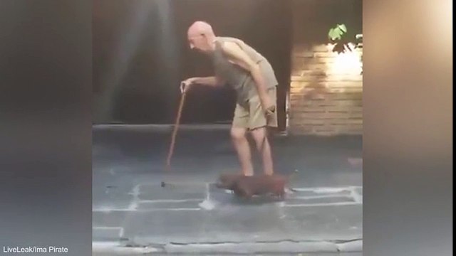 Cảm động với chú chó kiên nhẫn nhất quyết không rời chủ