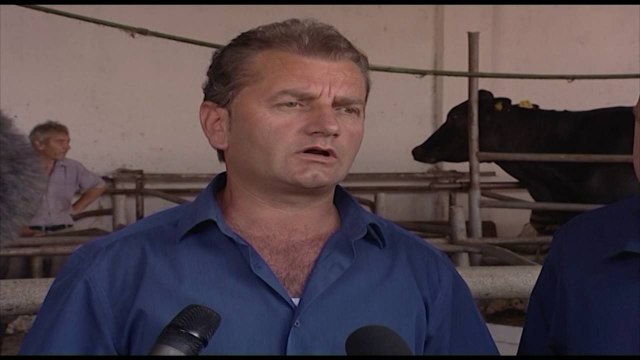 NIS NE KORÇE VAKSINIMI I BAGETIVE KUNDER SEMUNDJES DERMATOZA NODULARE NE FERMAT E MEDHA LAJM