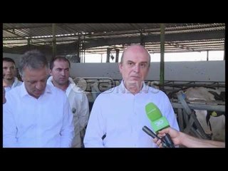 Ora News - Sëmundja e gjedhit, Panariti: Bllokohet shitja e mishit për dy javë