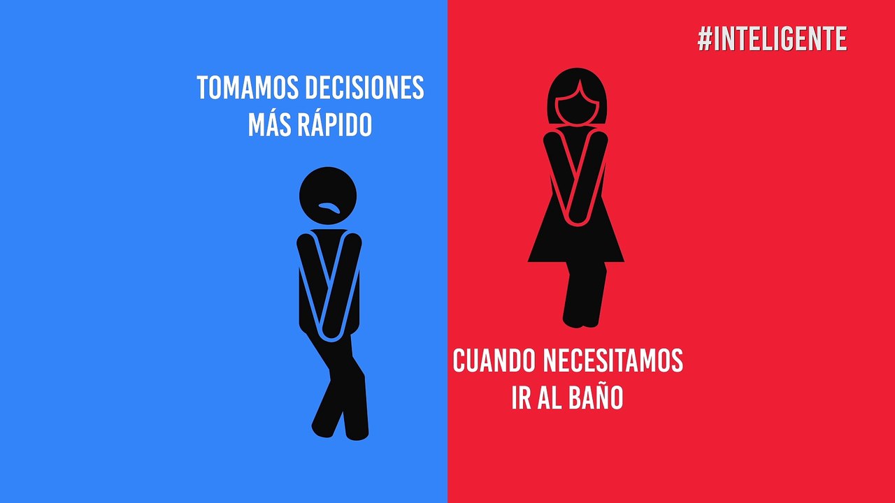 Inteligencia: Saber de ti, saber del otro y conocer tu entorno