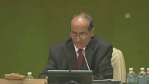 Birleşmiş Milletler Genel Kurulu - Fransa Cumhurbaşkanı François Hollande - New