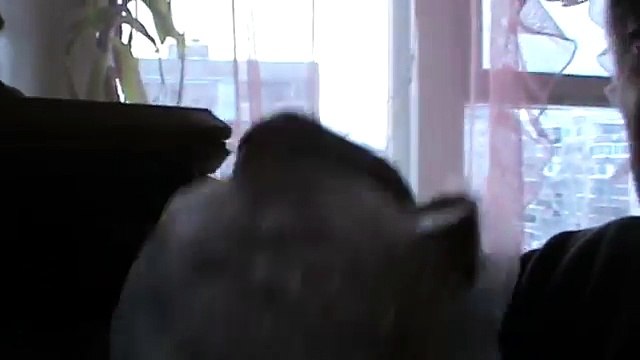 Мужчина говорит про колбасу в хлебнице